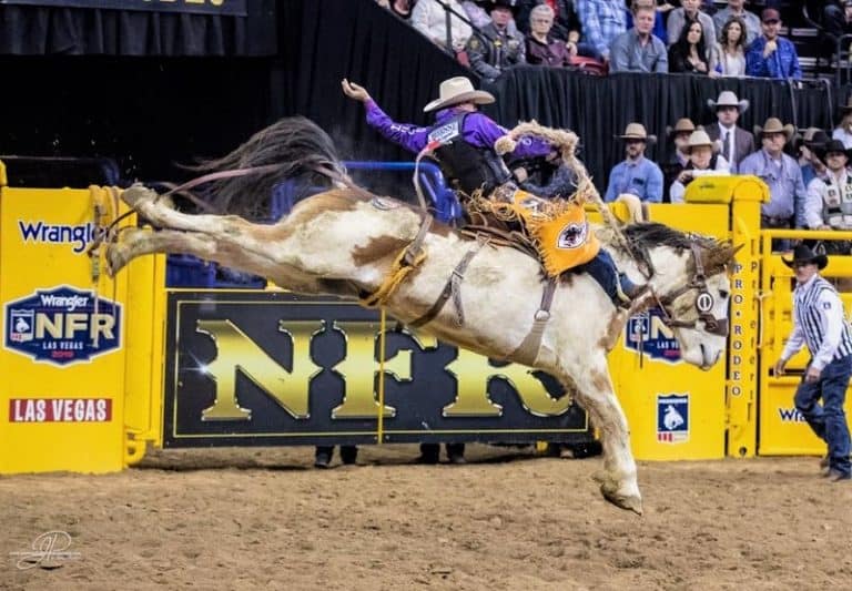 Saddle Bronc rider Brody Cress sits second in PRCA Standings