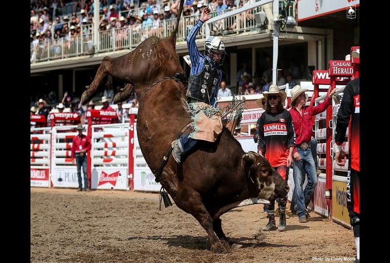 Greeley Stampede: Day two of PRCA ProRodeo showcases the unpredictability  of the sport