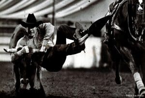 PRCA Steer Wrestling World Champion